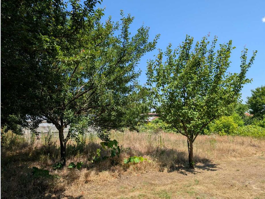 Продава се Четиристаен апартамент в с. Крушари, Област Добрич - 120 кв.м за 375 €/кв.м - Снимка #22