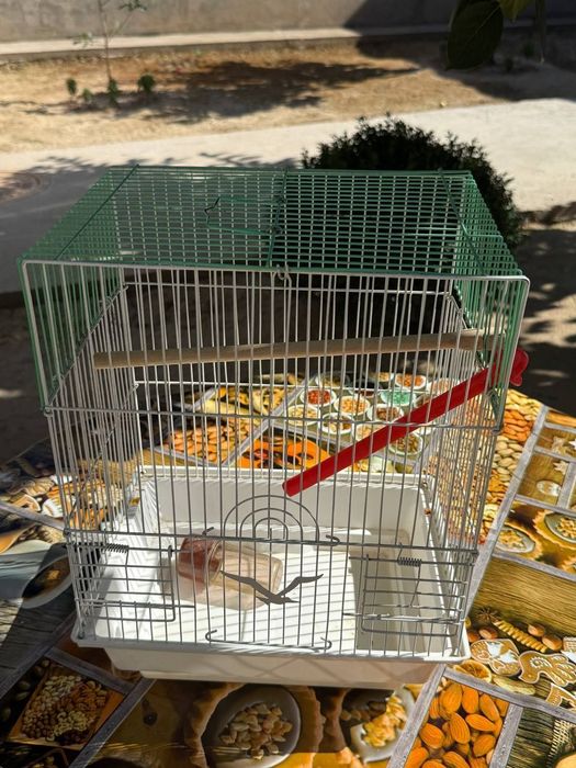 Птицы домики использование