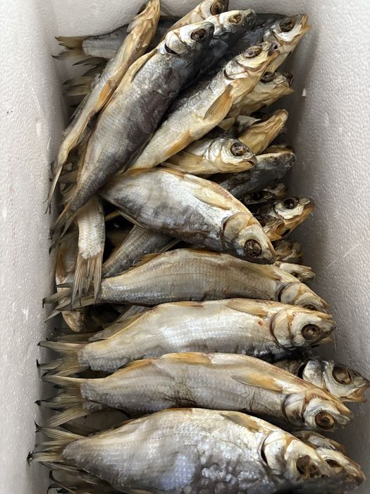 Отборочный сушенный ребец