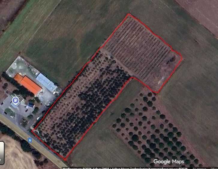 Овощна градина с трайни насаждения в плододаване