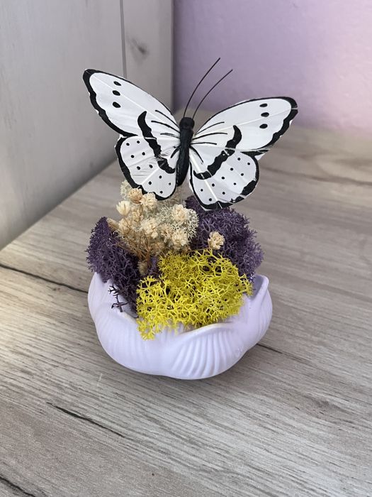 Кашпи със скандинавски мъх