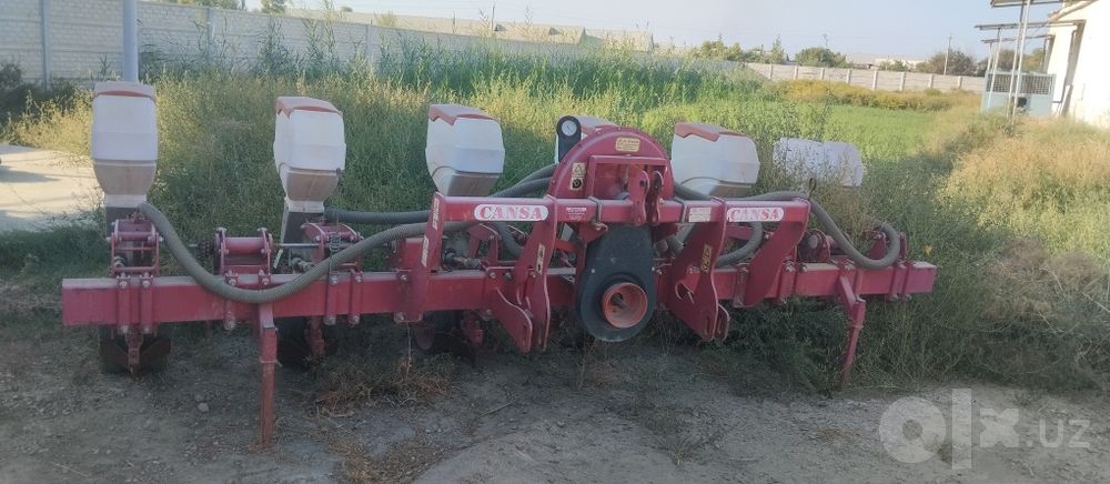 Cansa selka sotiladi holati ideal