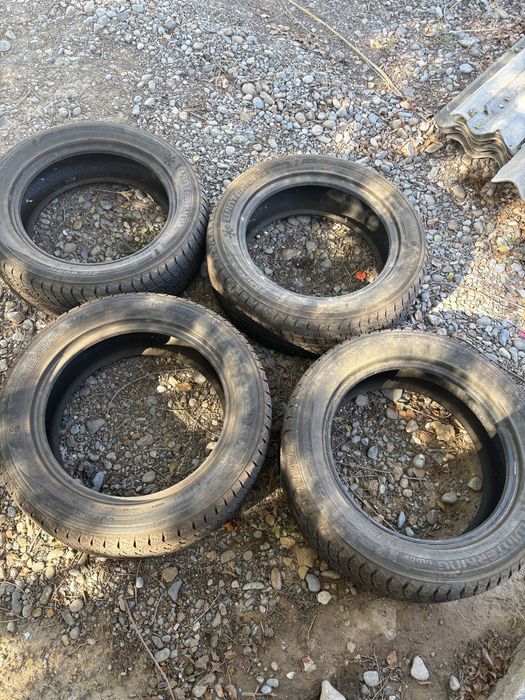 Зимный шина 215/60 R17.