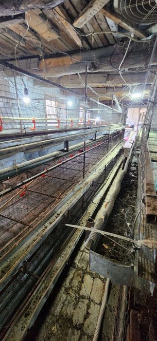 Broller boqish uchun qavaslar