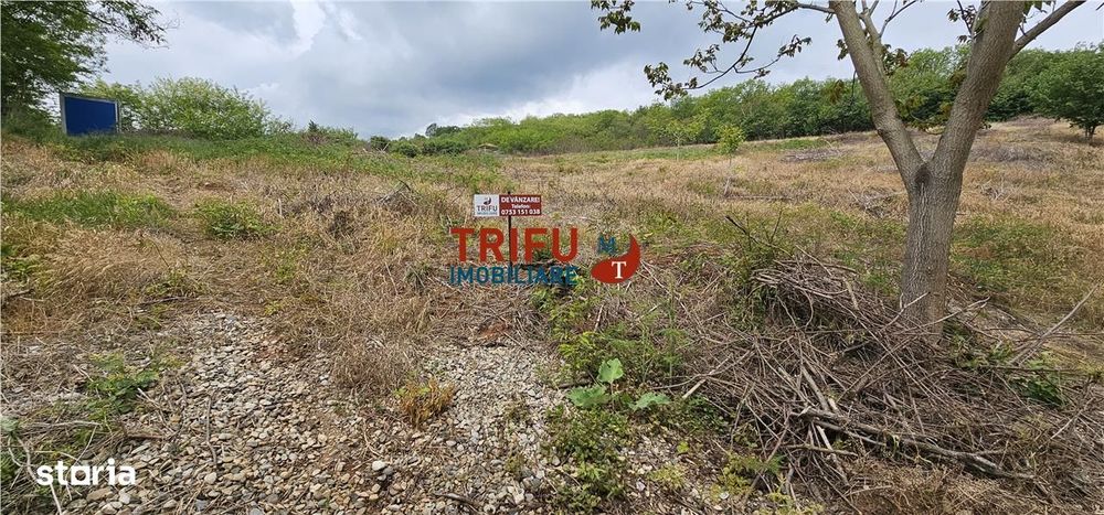 Teren Generos cu Panoramă Superbă în Valea Popii, Alba Iulia