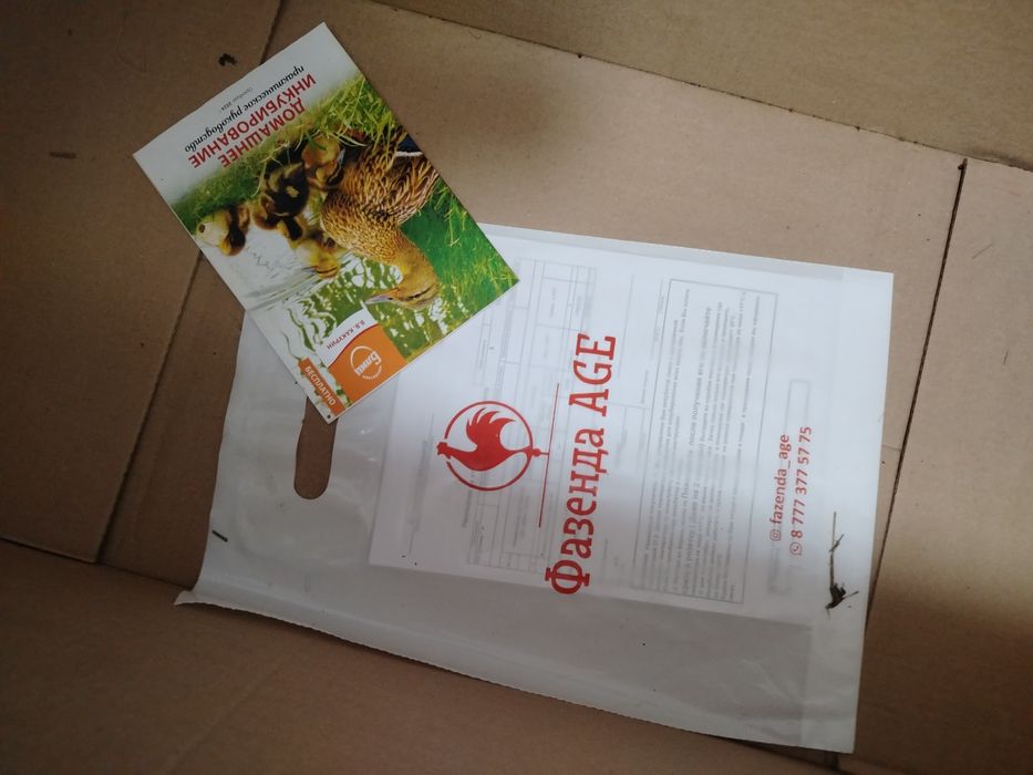 Инкубатор для яиц