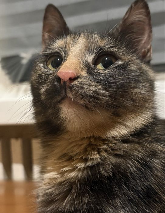 Только ответственным