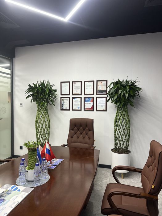 Комнатные растения с гарантией качества – скидки до 30%