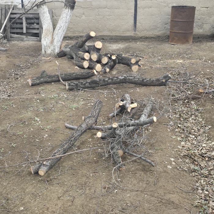 Дрова, отын бесплатно