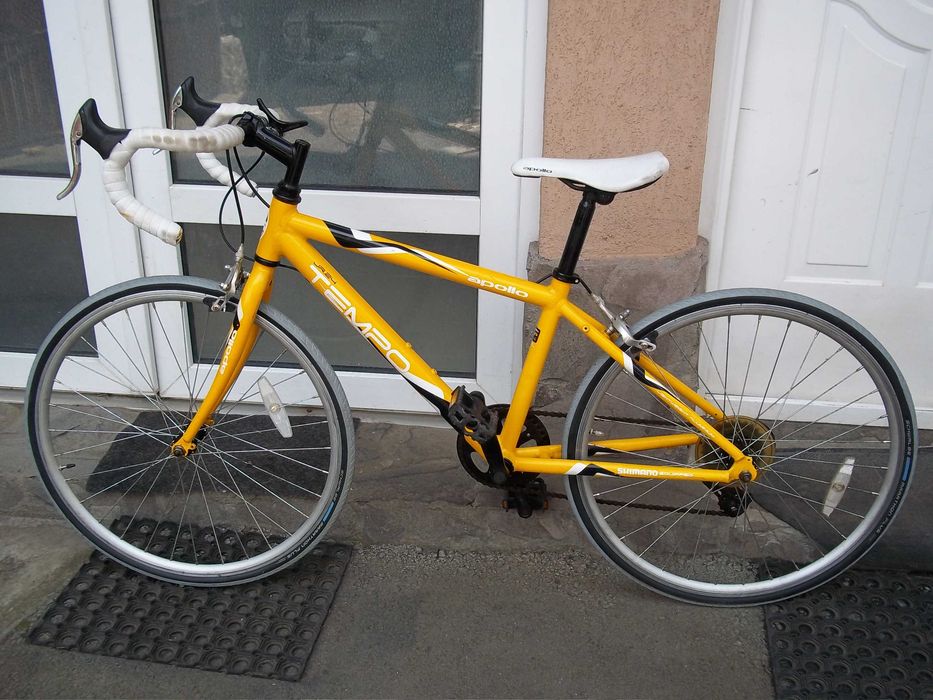 Cursiera  Apollo Tempo J24