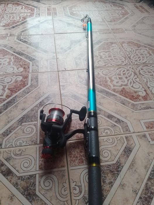 Продавам Болонезе 6.00м