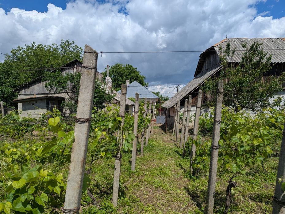 Casă cu teren 1330 mp și anexe gospodărești în Păunești (Surlea), Vrancea