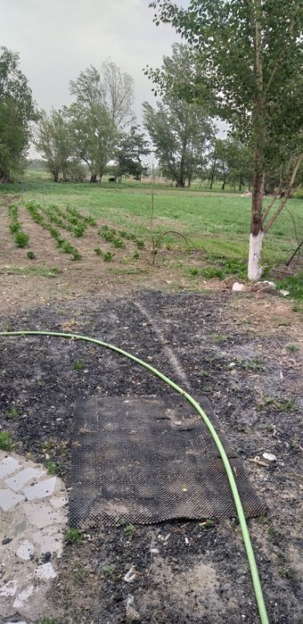 Продам дом с большим участком