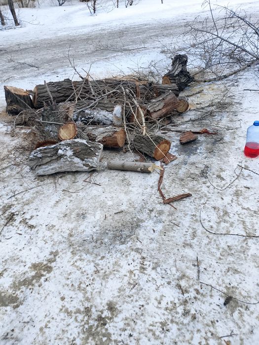 Продам дрова(чурки)