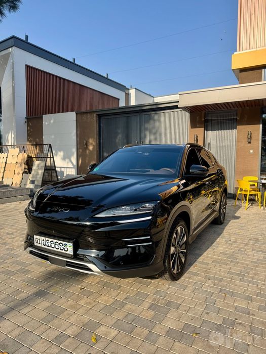 Byd Champion Restyling full