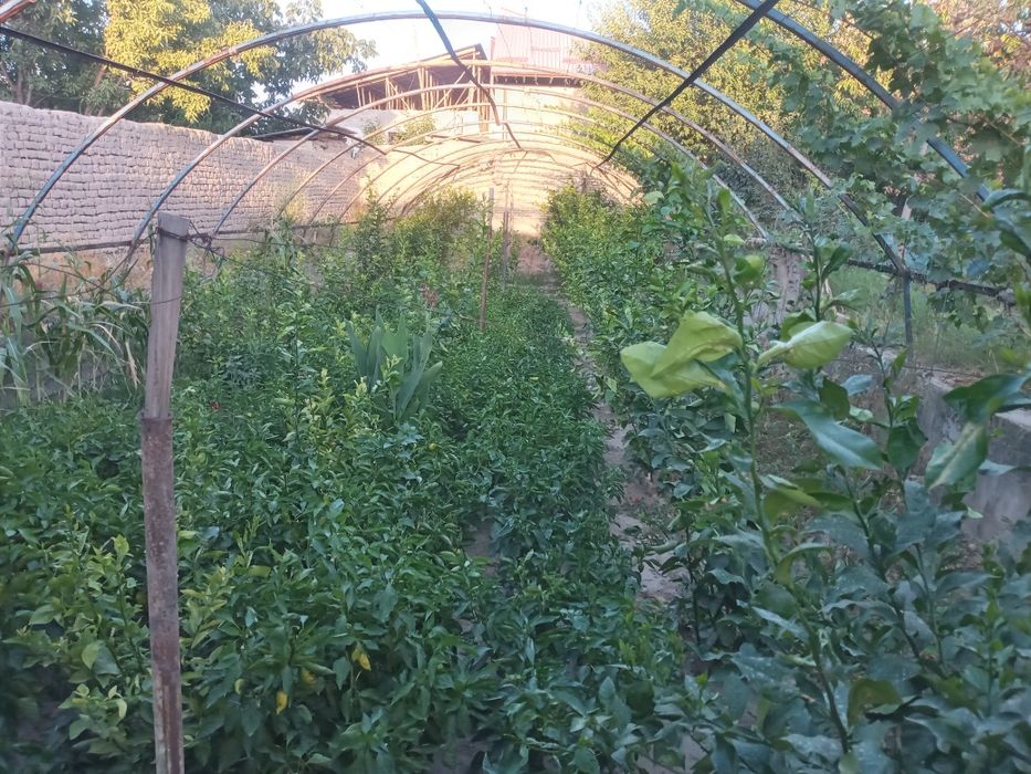 Курилиши тугалланмаган ховли сотилади