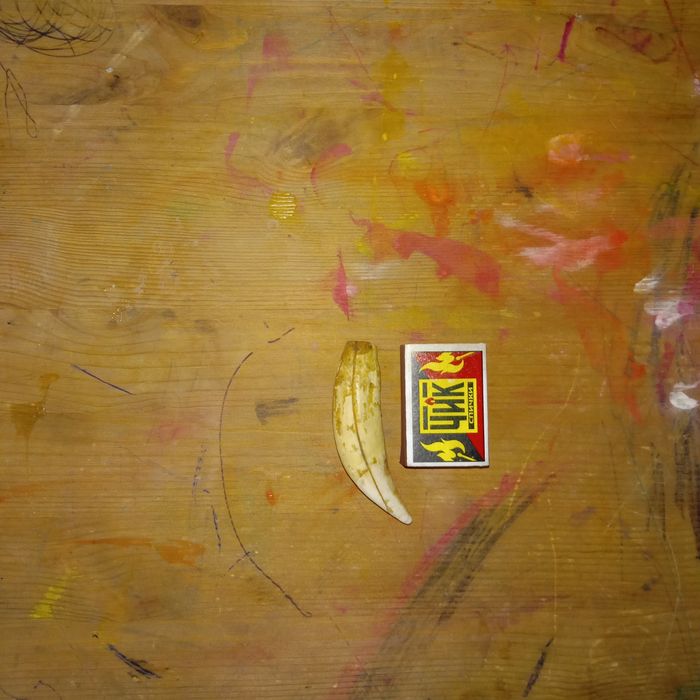 Медвежий клык ,оригинал.