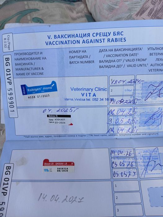 Подарявам мъжко куче