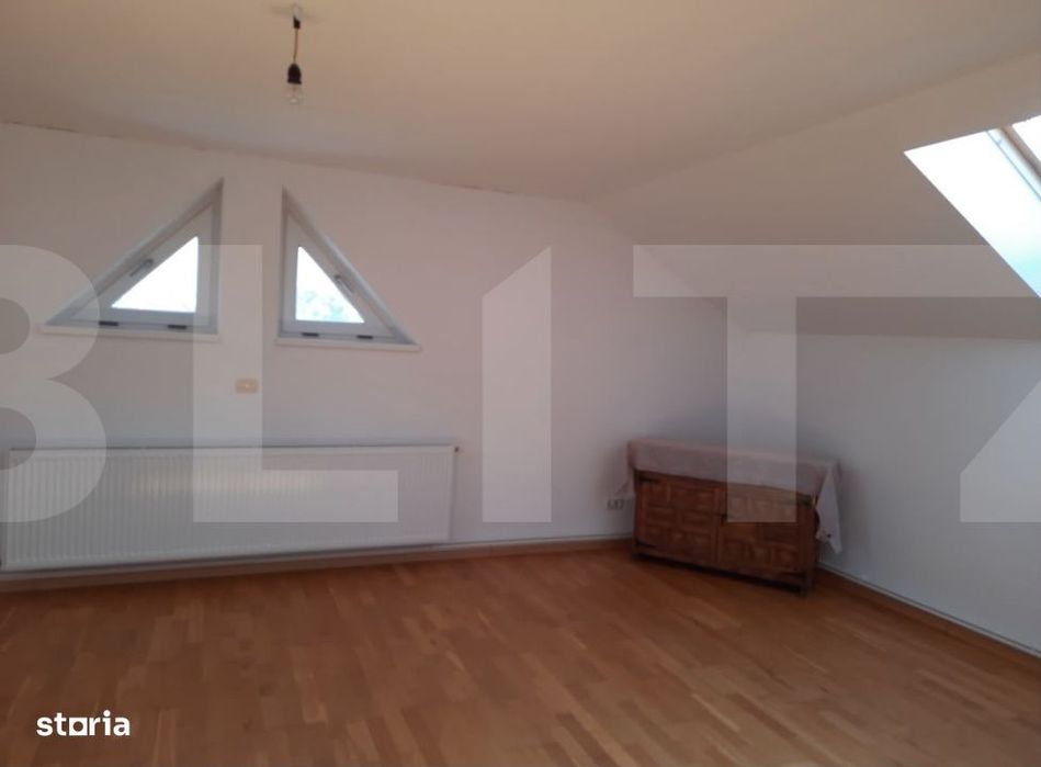 Casa+Spatiu Pentru Afacere/Locuit Iancu Jianu