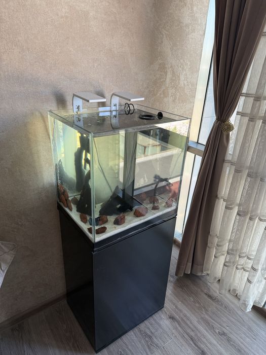 Alvarium sotiladi 90L lik