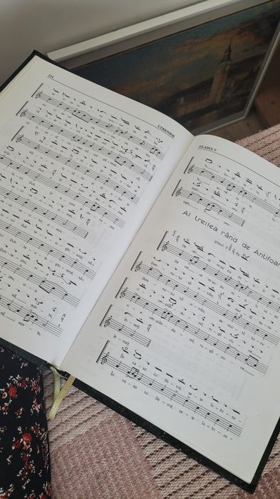 Utrenier de vânzare