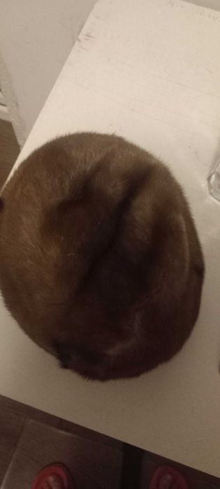 Caciula blana naturala