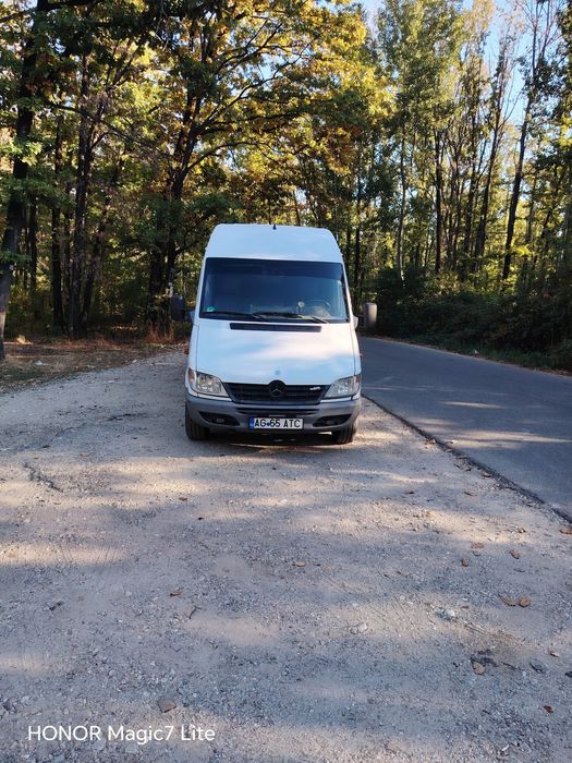 Sprinter 313 long 3 panouri