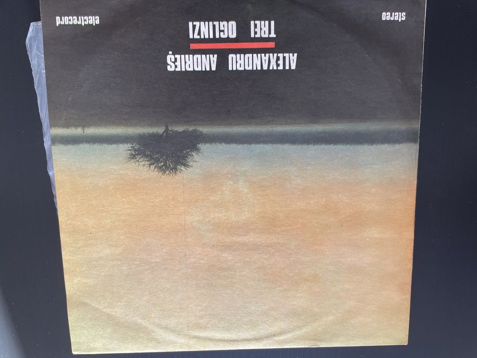 Discuri de vinil - muzică folk, clasică, ușoară