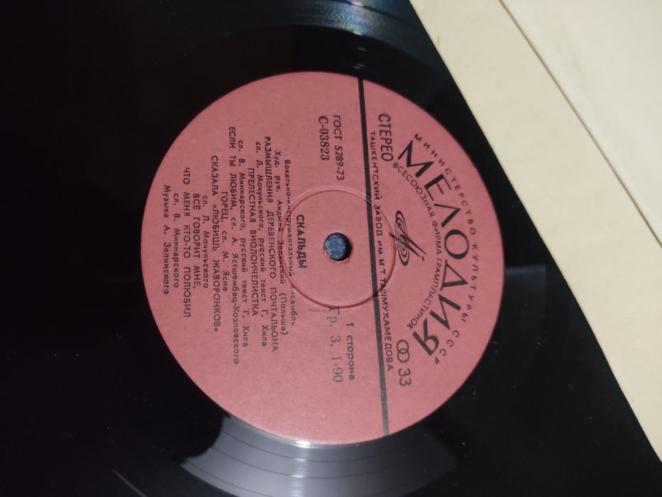 Виниловая пластинка