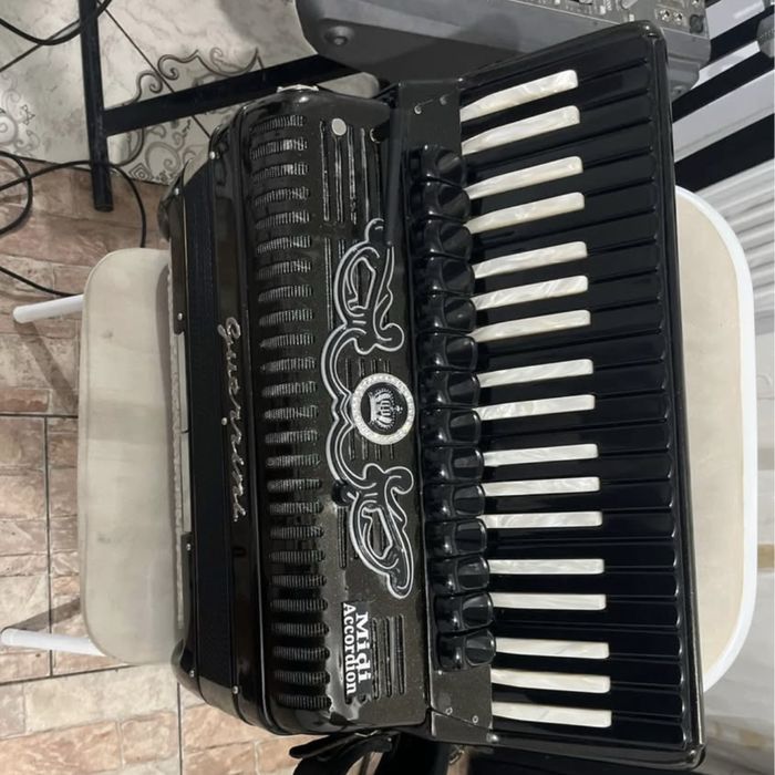 Acordeon guerinii midi