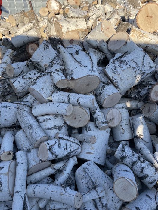 Дрова берёза