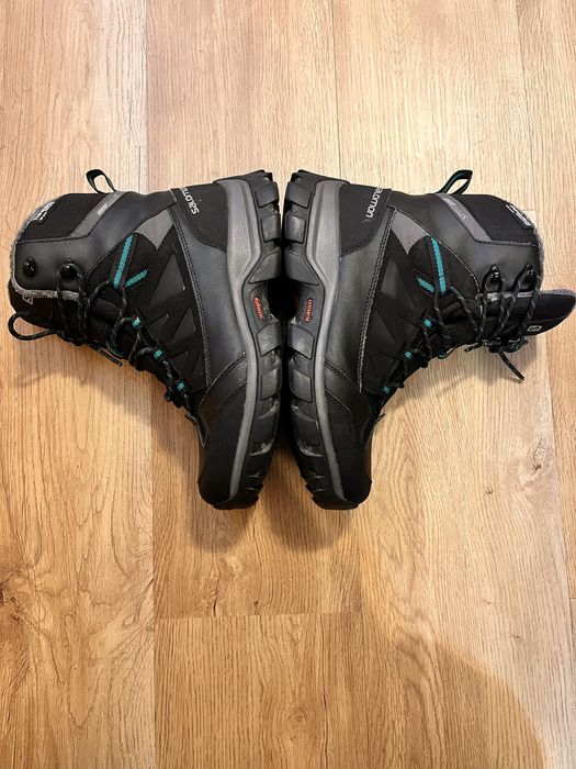 Salomon toundra ghete