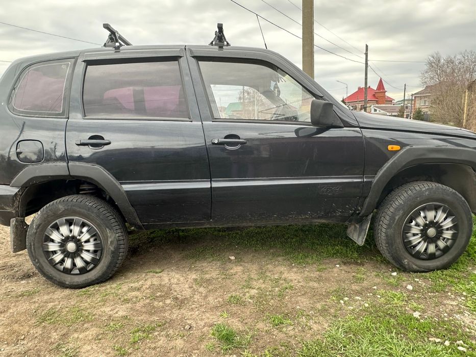 Шнива живая ездиет