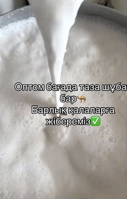 Шубат кымыран оптом