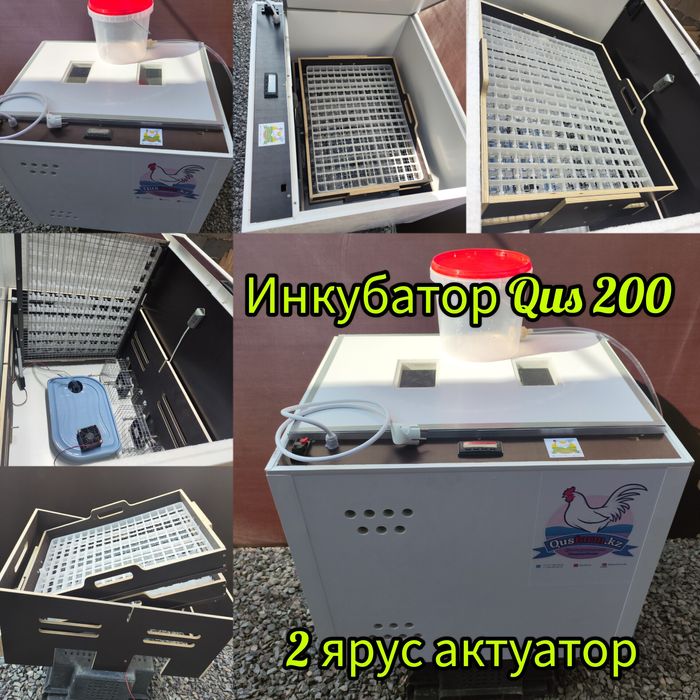 Инкубатор на 200 яйц Qus 200 полный автомат 2 этажа с лотками кур пере