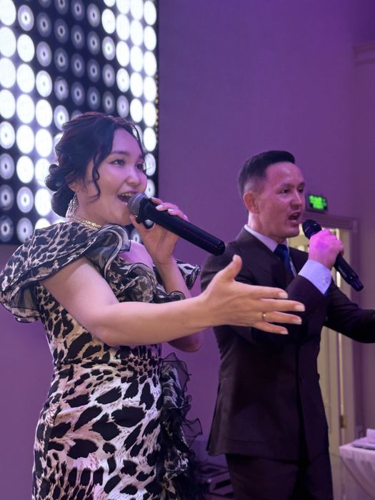 Тамада, ведущий, дуэт