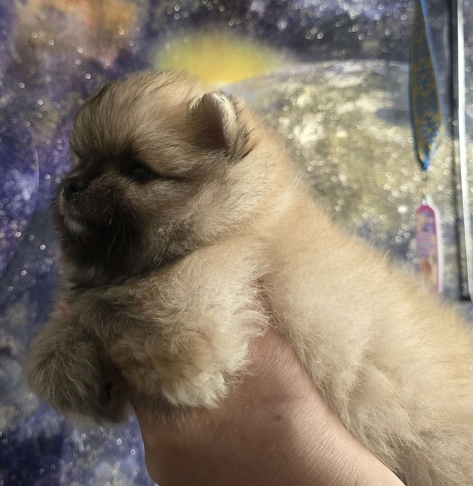 Предлагаю крутого мальчика