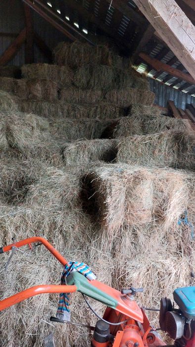 Vând fân și otavă