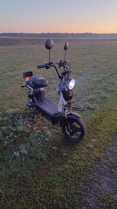 Продаю мапед леопард