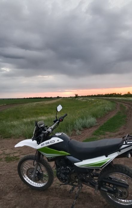 Мотоцикл Racer Panther 250