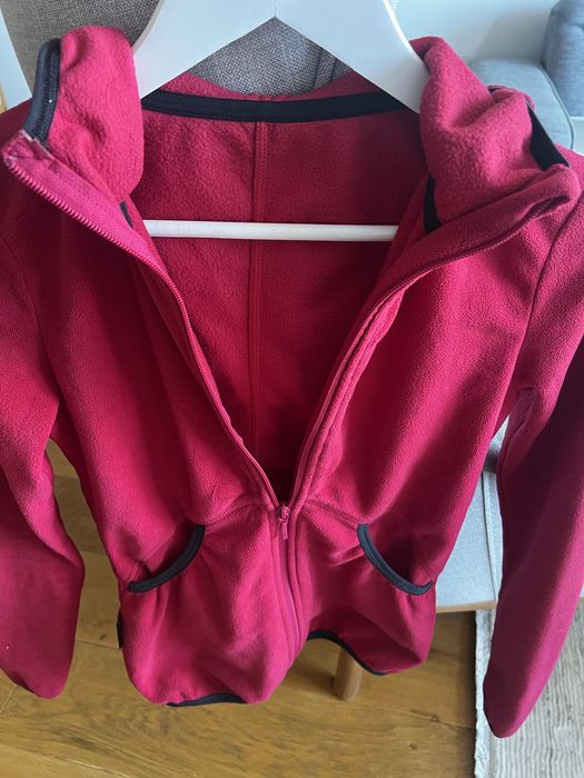 Полар зимен (планина)