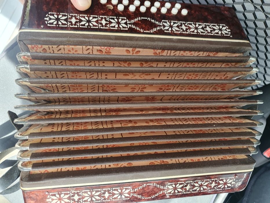 Детски акордеон мальш със кутия малиш