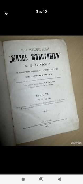 Бесплатно сделаю оценку