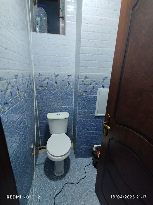 Krasnodardagi tualet teshigida sikni sorish