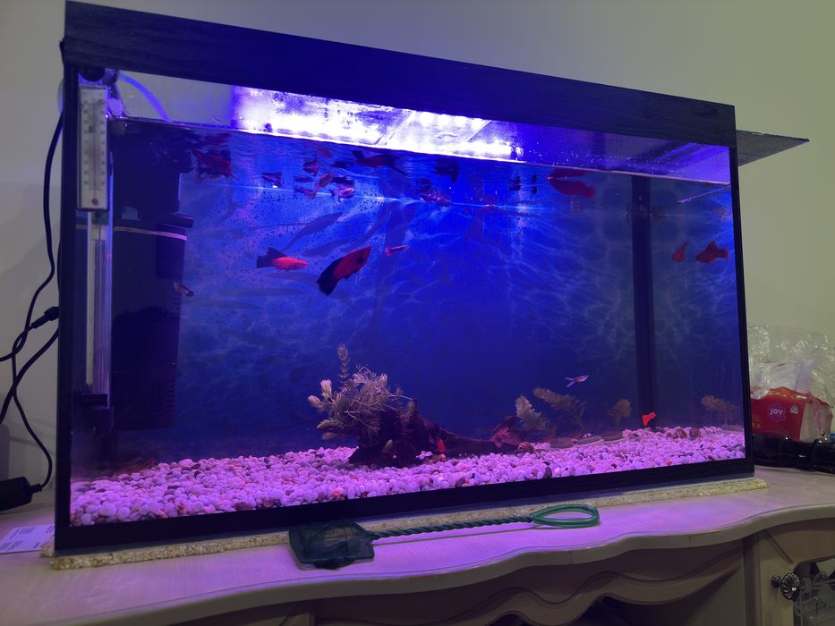 Продам аквариум 120 литров