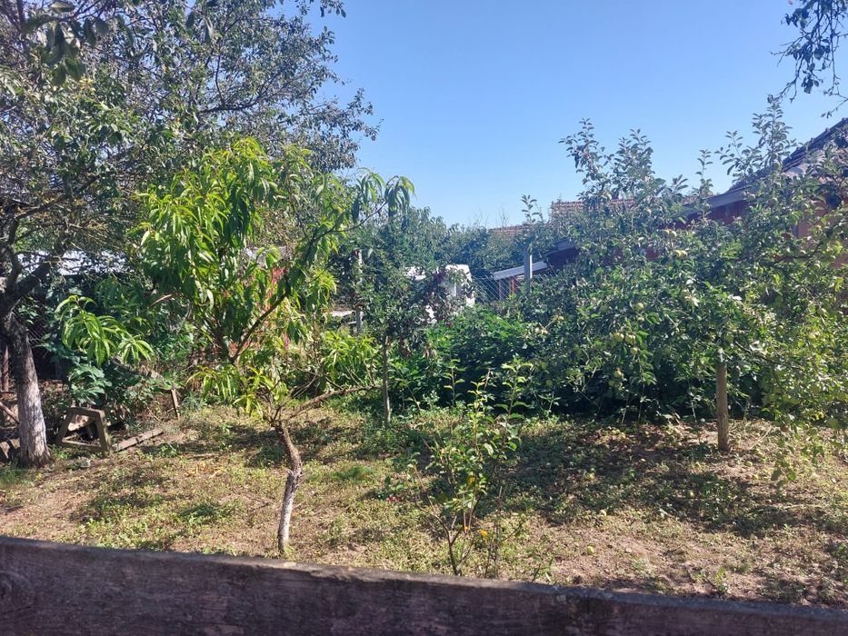 Vând casă în localitatea Vășad