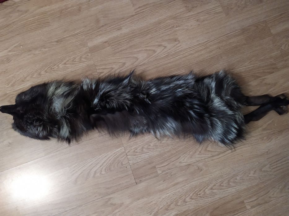 Etolă/guler din vulpe argintie întreagă (1 m)