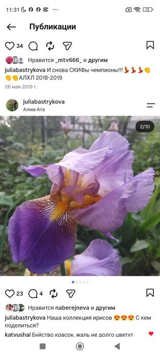 Клубни ириса продам