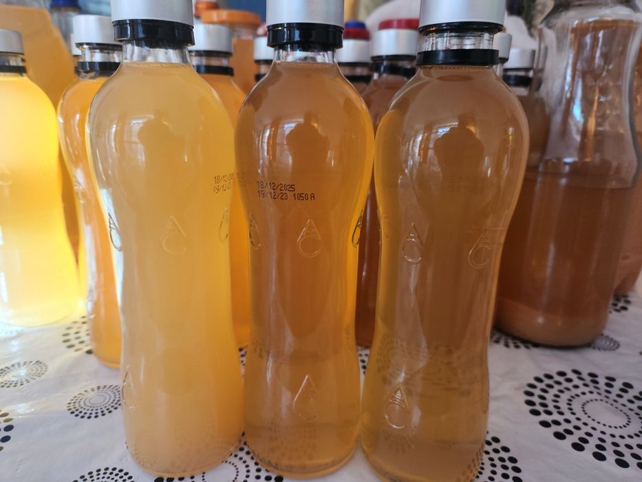 Vand otet de mere bio facut de casa