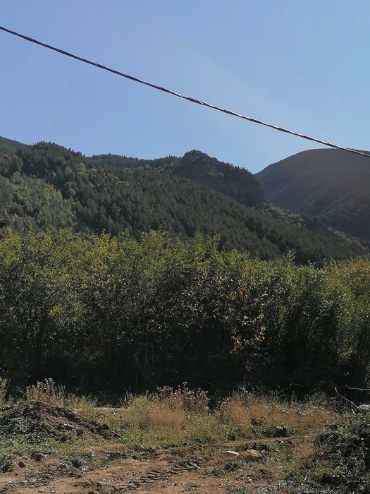 Продава се Парцел в Сапарева баня - 536 кв.м за 66 €/кв.м - Снимка #2